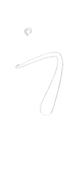 雨端で自然と憩う森の宿。